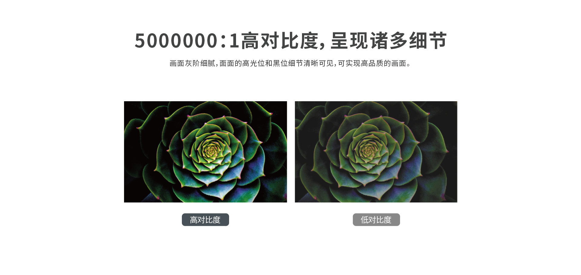 manbet·(中国区) - 官网